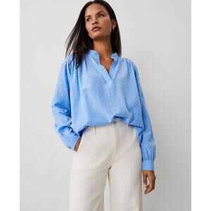 NWT Ann Taylor Women's Large Blue Long Sleeve Tunic Blouse Clip V-Neck Popover